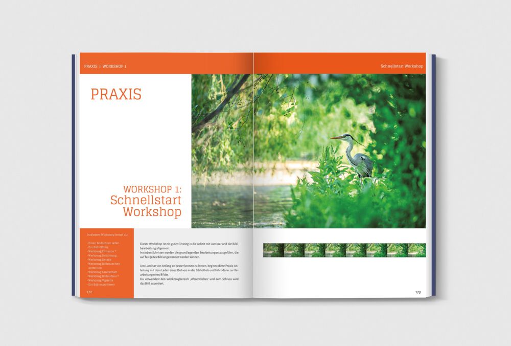 Bildbearbeitung mit LUMINAR AI | PDF – Bild 6