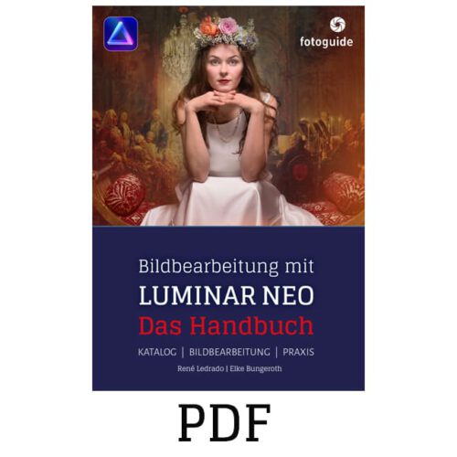 Luminar NEO Buch