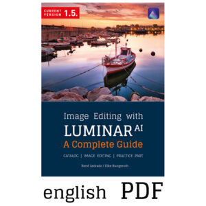 LUMINAR AI Complete Guide | PDF