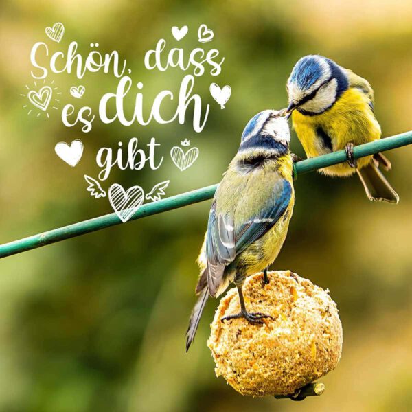 2 Grußtext-Overlays für Luminar NEO