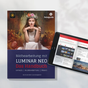 Bildbearbeitung mit LUMINAR NEO | Bundle: Buch  + PDF