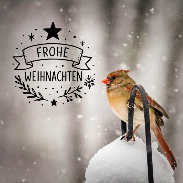 2 Weihnachts-Overlays für Luminar NEO