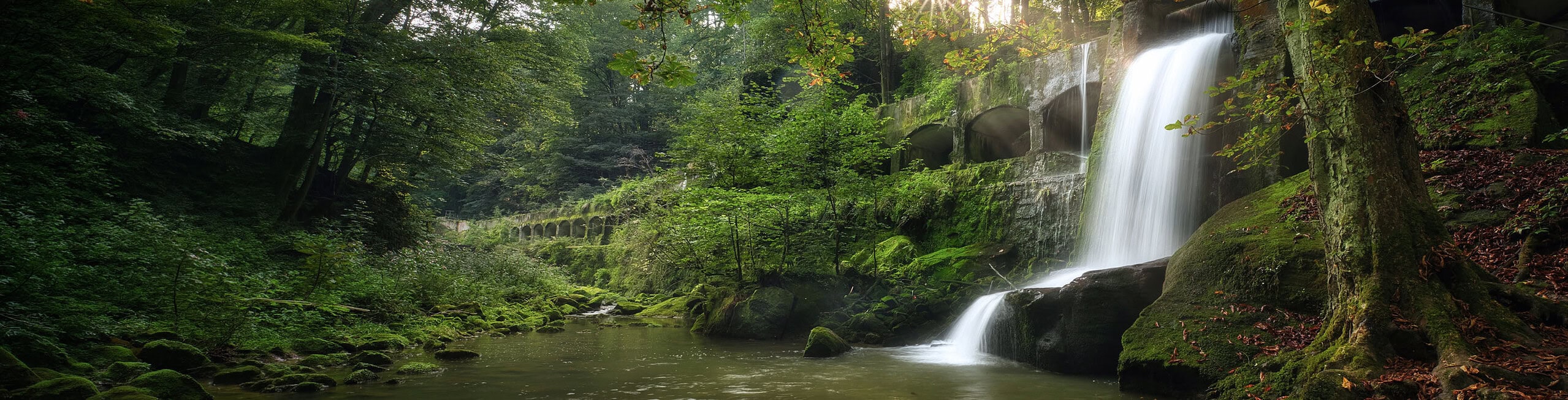 Wasserfall in sattem Grün – Naturfotografie Langzeitbelichtung Luminar NEO