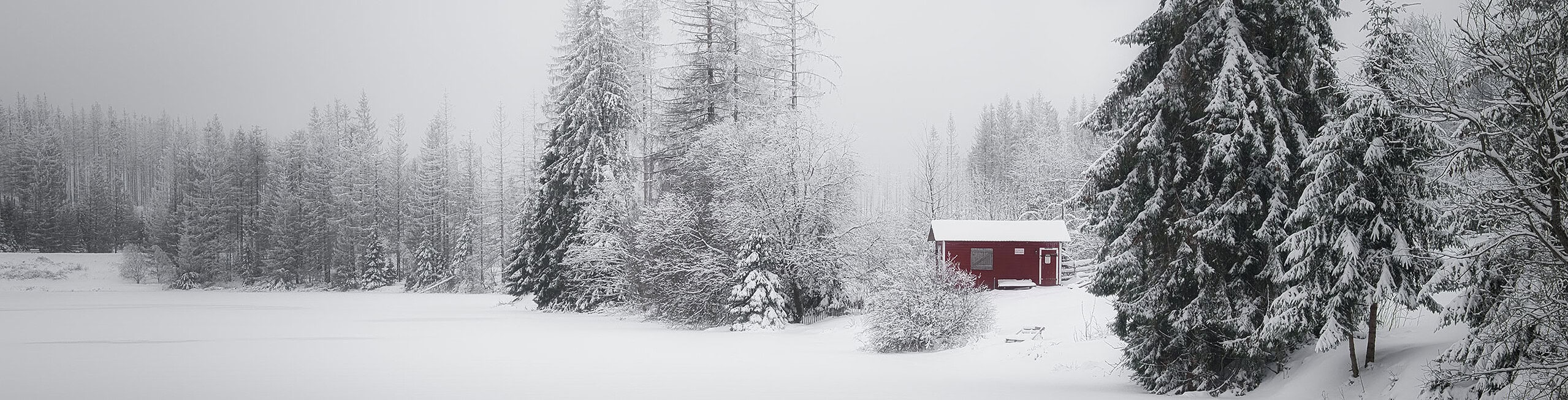 Verschneite Winterlandschaft im Nebel – Winterfotografie monochrome Stimmung